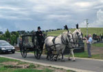 Beau Matthews leading horsedrawn hearse