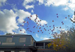 releasing balloons at a funeral - sky full of funeral balloons